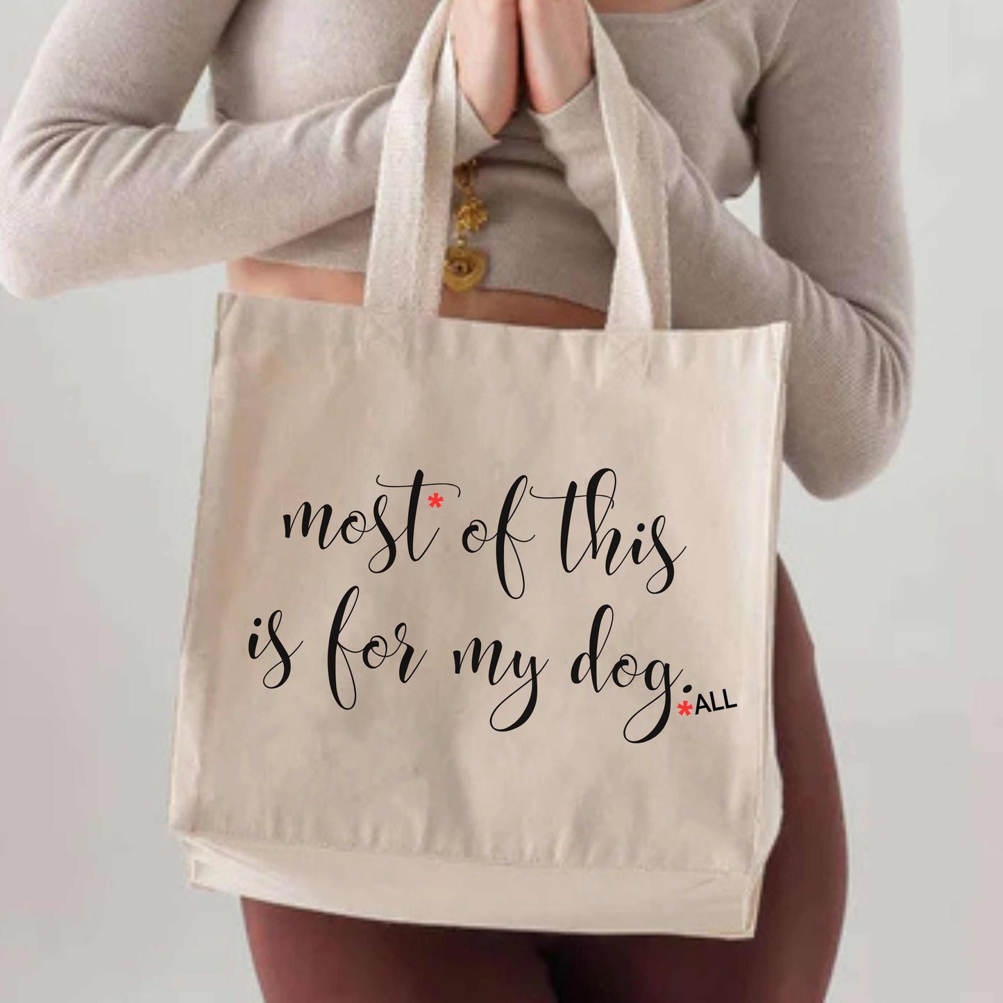 Person holding cotton tote bag with "most of this is for my dog" text, pet parent gift bundle accessory