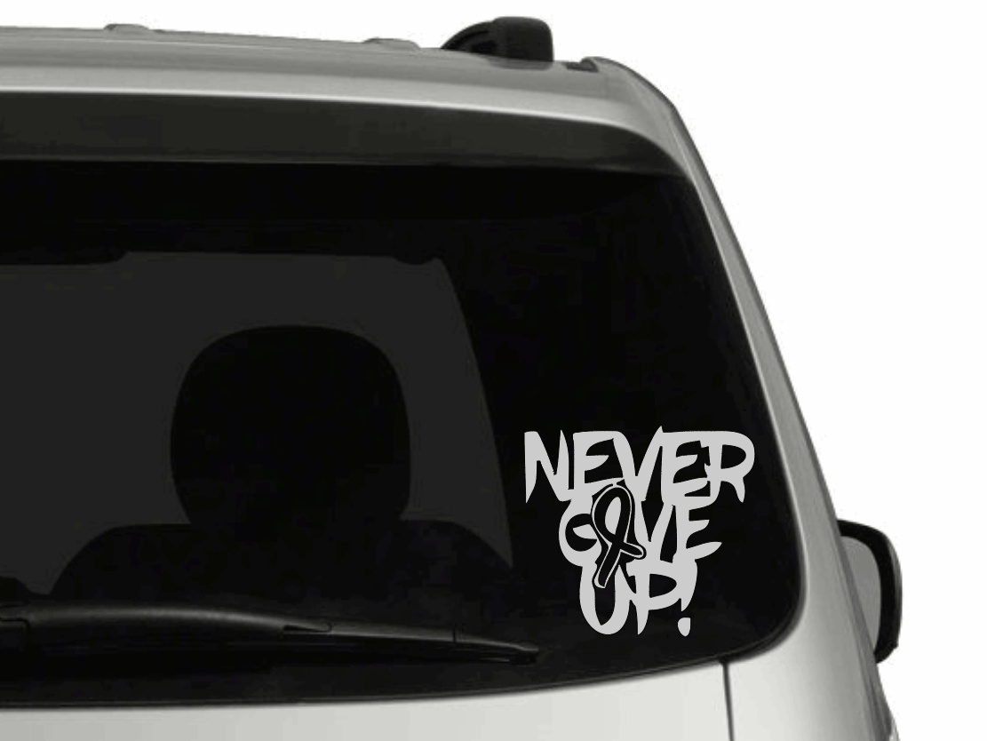 Purple LadyBug Decor Decal Never Give Up Cancer Ribbon Vinyl Decals