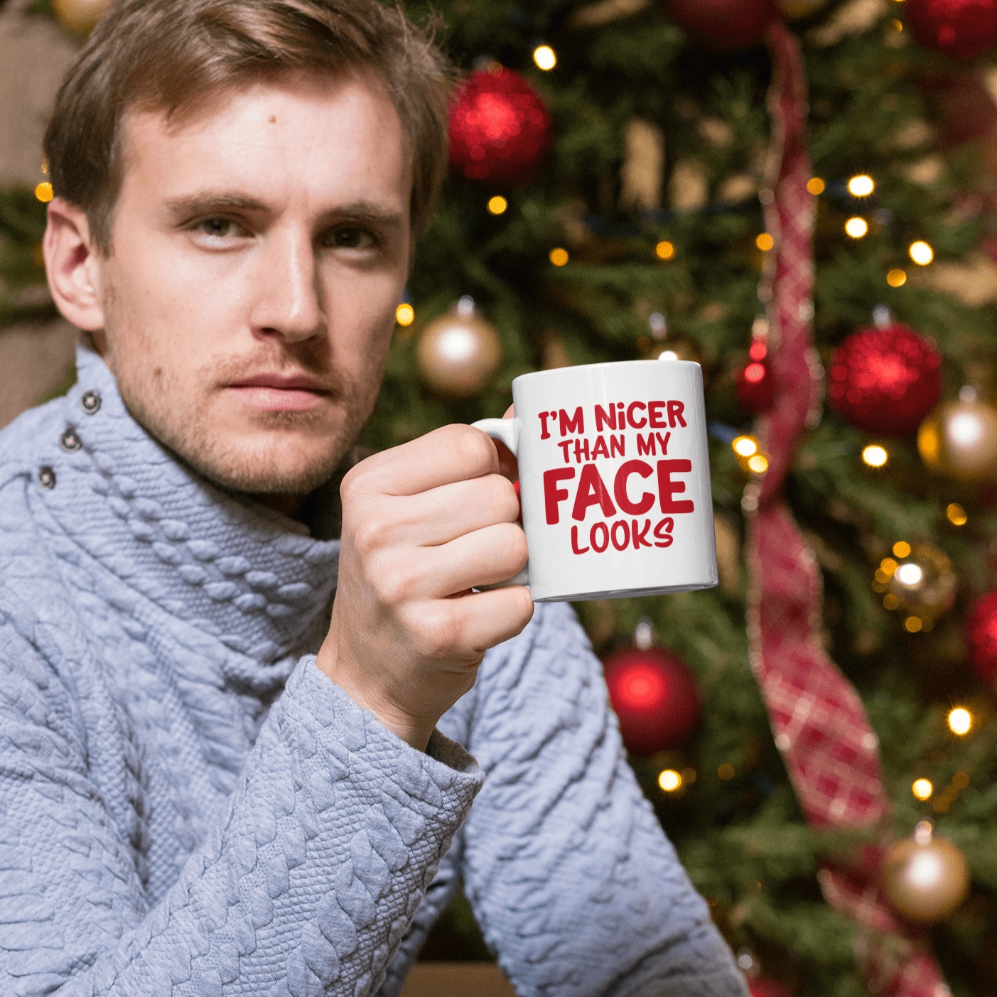 Purple LadyBug Decor Mug I'm Nicer Than my Face Looks Humorous Ceramic Mug