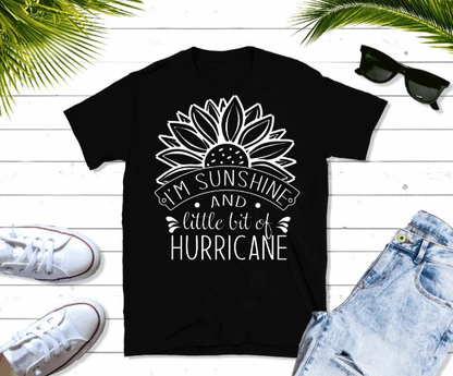 Purple LadyBug Decor shirts I'm Sunshine and a little bit of Hurricane T-Shirt