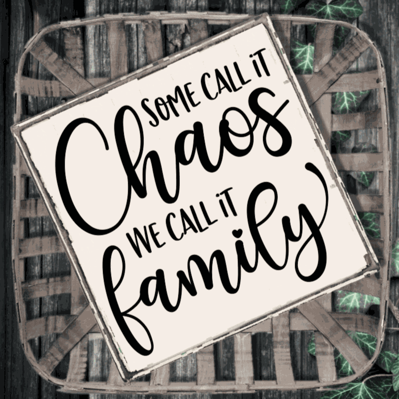 Purple LadyBug Decor Sign Some Call it Chaos, We Call it Family | Handmade Wood Sign